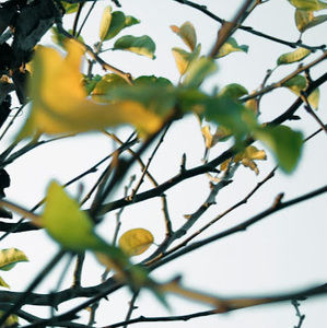 Meet your Posher, Madina